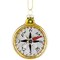 Northlight 2.5" Glittered Gold Compass Glass Christmas Ornament